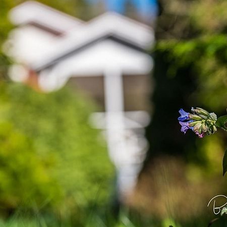 Vidam Mokus Vendeghaz Nagymaros Exterior foto